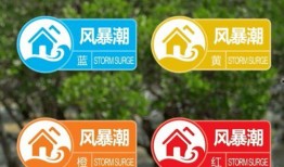 东乐王者爆料最新消息视频,揭秘神秘视频背后的惊人真相！